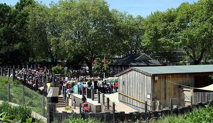 people in london zoo