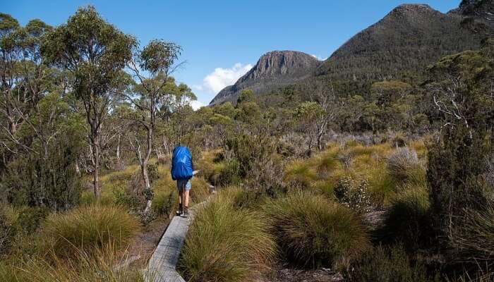 trekking