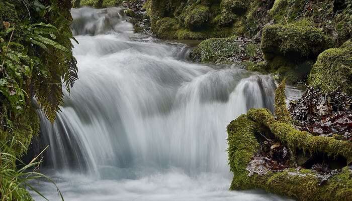 Waterfalls