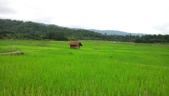 this valley is best in arunachal pradesh