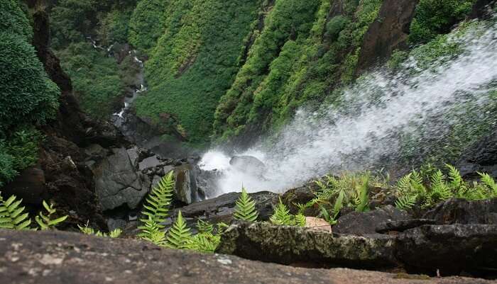 Agumbe