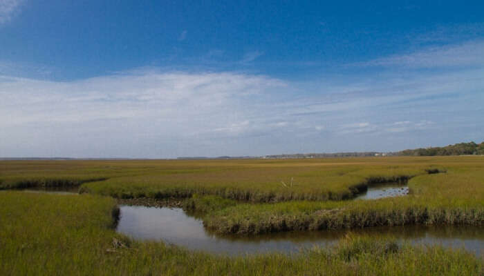 amelia island