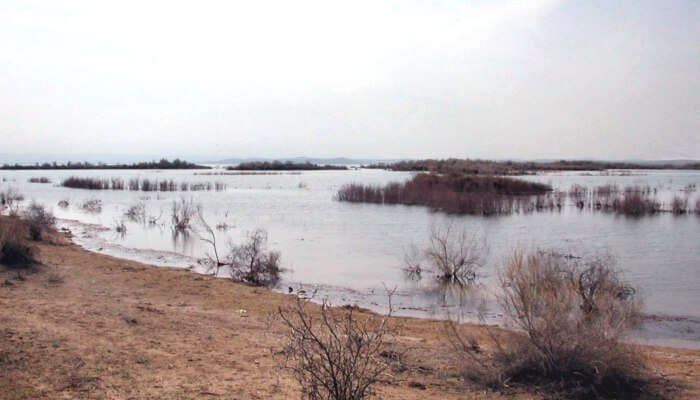 Aydarkul Lake is good place to visit