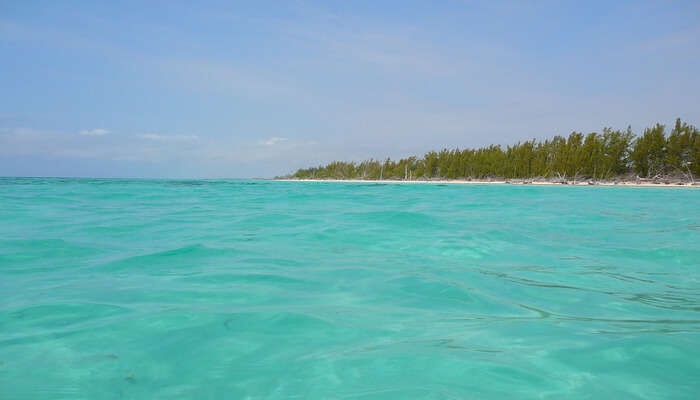 Beaches of Bahamas