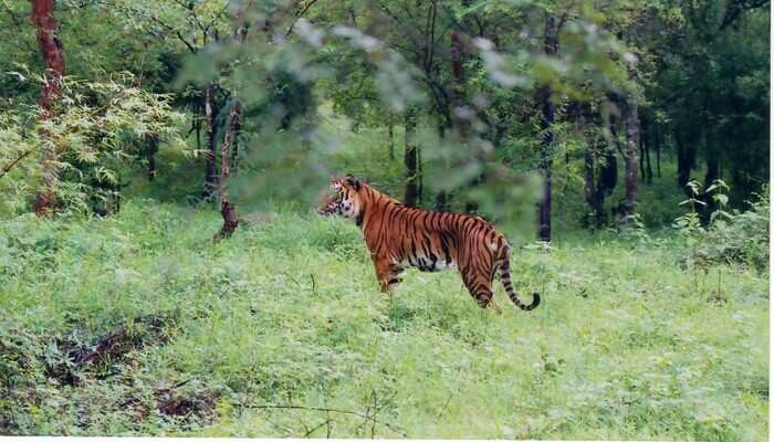 BhimaShankar Wildlife Sanctuary