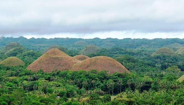 A wonderful view of Bohol