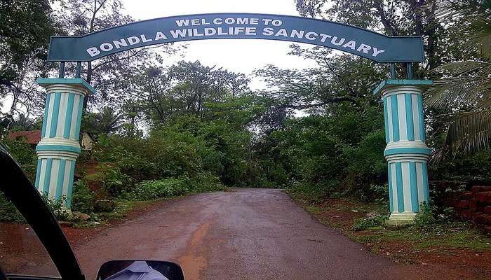 7-wildlife-sanctuaries-in-goa-to-witness-flora-fauna-in-2023