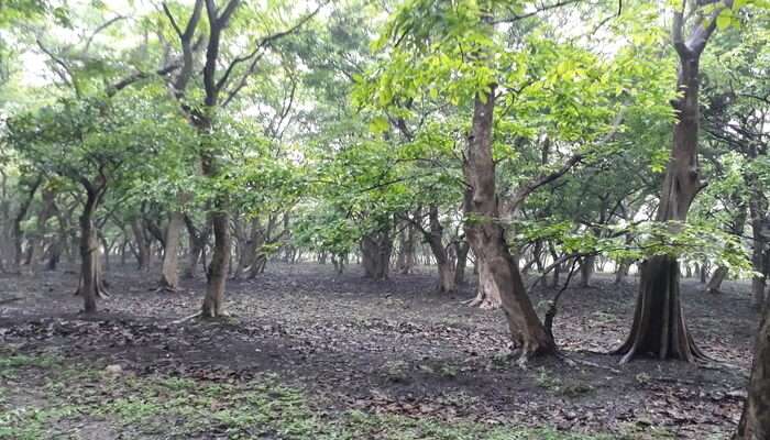 Bornadi Wildlife Sanctuary