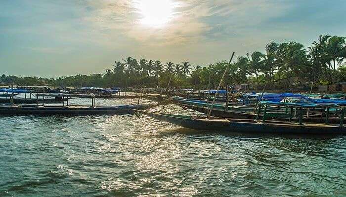 a fantastic tour to the chilka lake