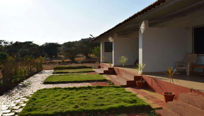 Dark Forest Retreat, Amboli