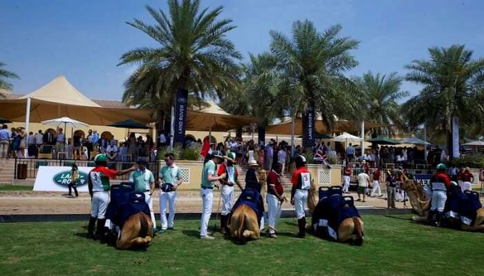 Dubai Polo And Equestrian Club, one of the tourist places in Dubai