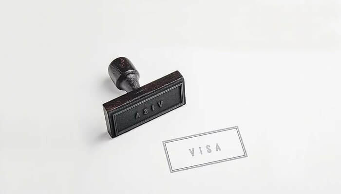 E-Visa