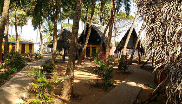 Edan beach cottage