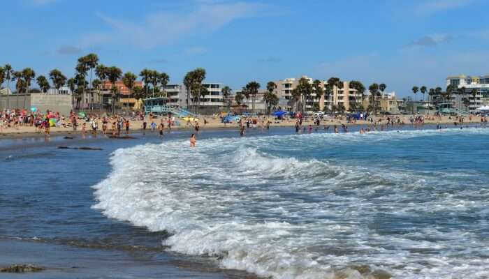 Hang Out At Venice Beach