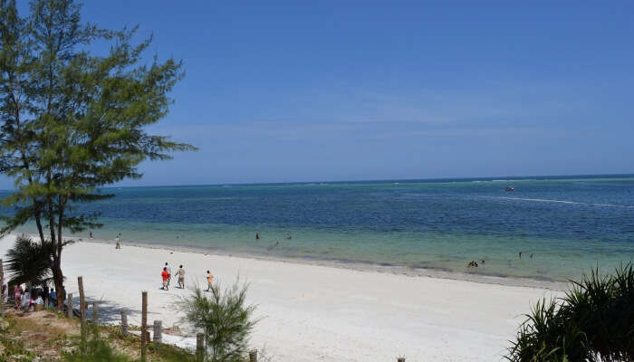 best view of beach