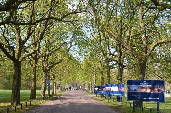 parks in netherlands