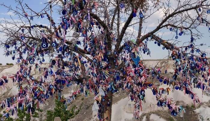 evil tree in cappadocia