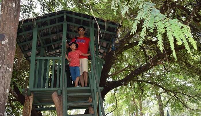 fun at tree house