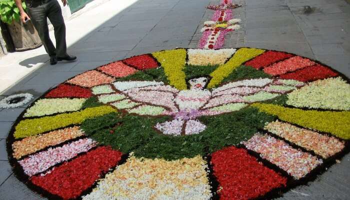 beautiful flowers and petals