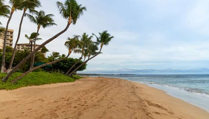 Kaanapali Beach best place to go in hawai
