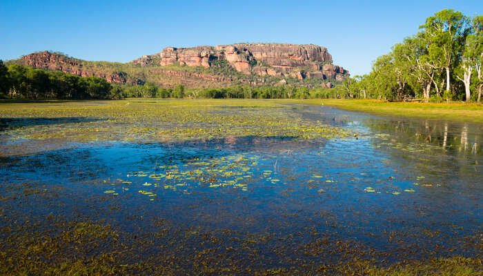 The view of Kakadu National Park; among Australia tourist attractions