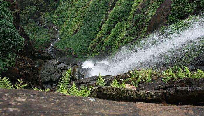 Kalasa Falls