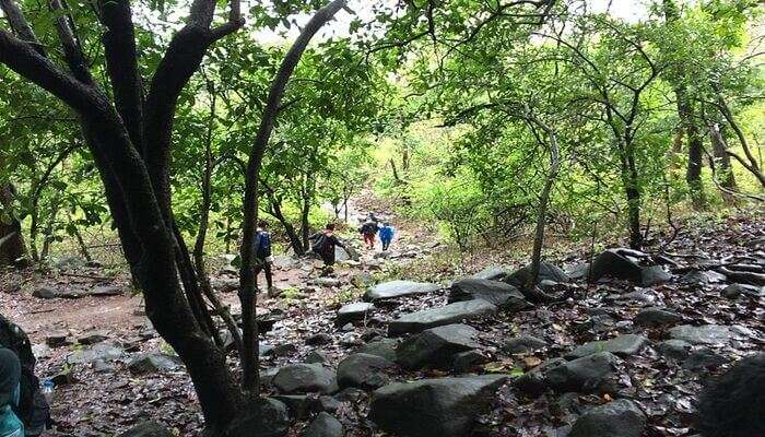 Karnala Bird Sanctuary