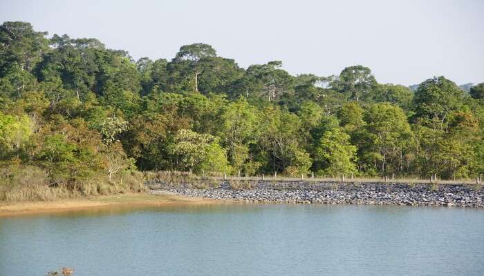 Khao Yai National Park