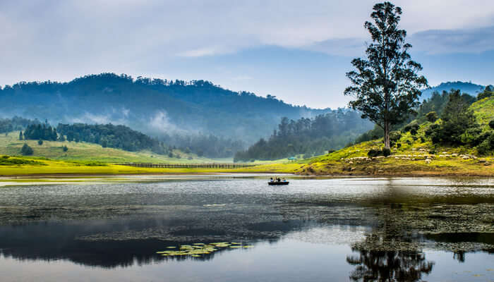 enjoy the pleasant weather in kodaikanal