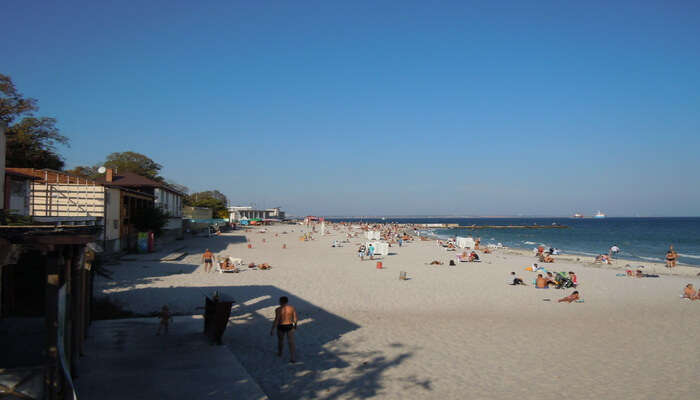 Perfect Beach For Sunbathing