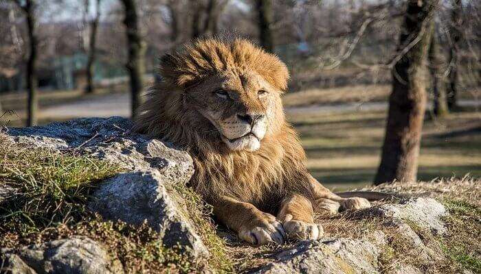 Machia Biological Park