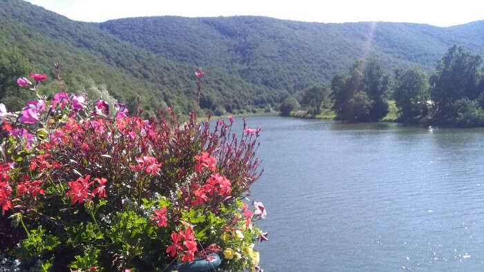 visit belgium or germany Flowers and Lake in a Valley