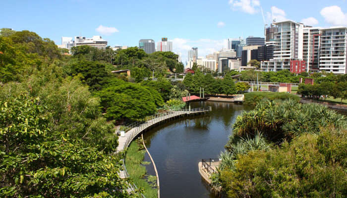 Nature Walks At Roma Street Parkland