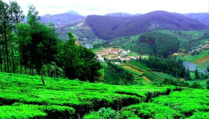 Ooty Mountains