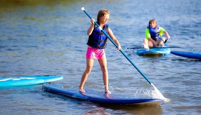 Paddle Board