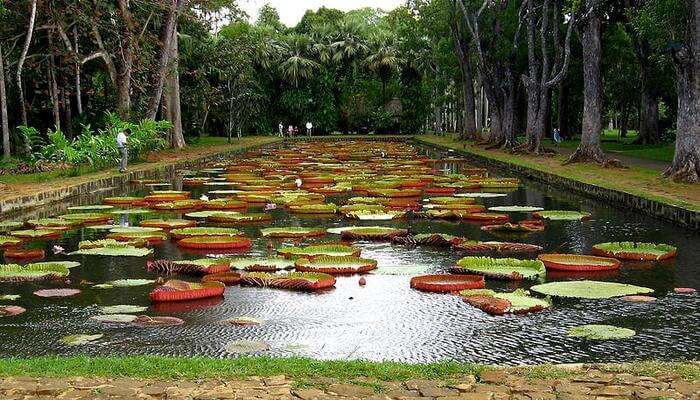 Pamplemousses Botanical Gardens