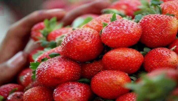 Panchgani Market