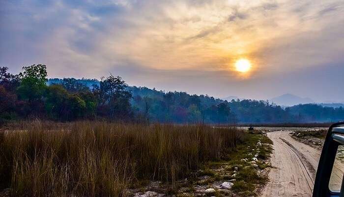 Safari_at_Rajaji_National_Park_(Haridwar) Cover