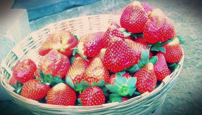 Sandeep Strawberry