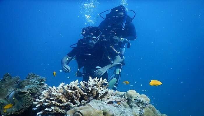 Adventure Sports In Kochi