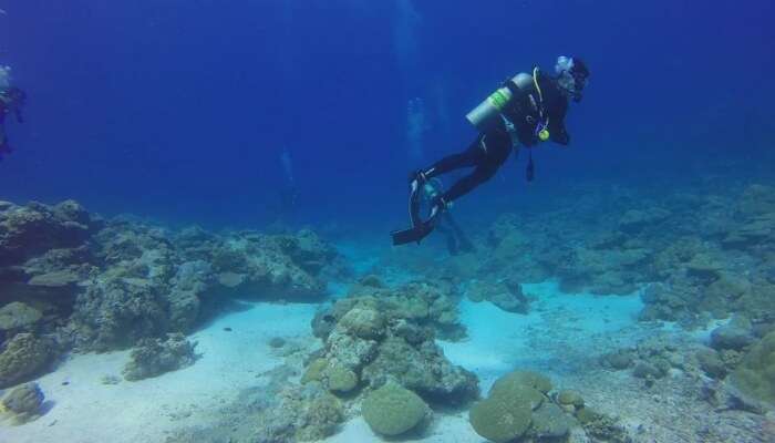 Scuba Diving is awesome