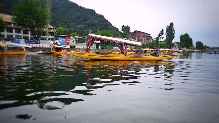 shikara ride