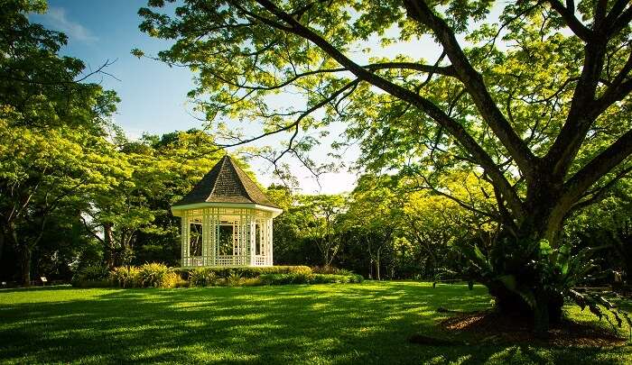 enjoy the serenity of the Botanic Gardens 