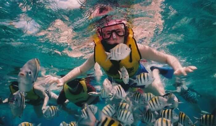 snorkelling in maldives sea