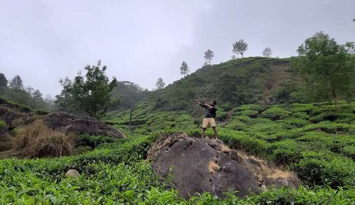 Somewhere in Munnar