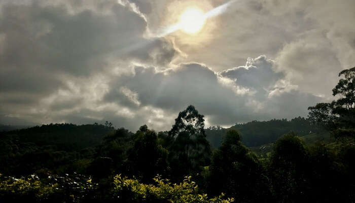 tourist places near Munnar