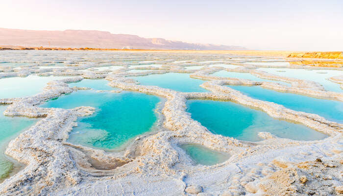 The Dead Sea