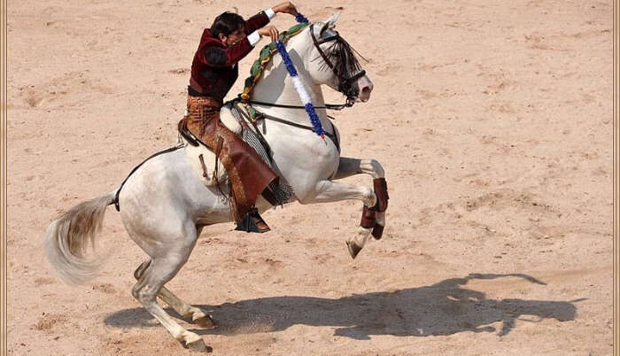 Horse Riding in France