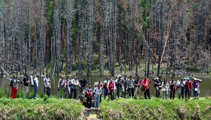 Trekking is one of the things to do in Kodaikanal