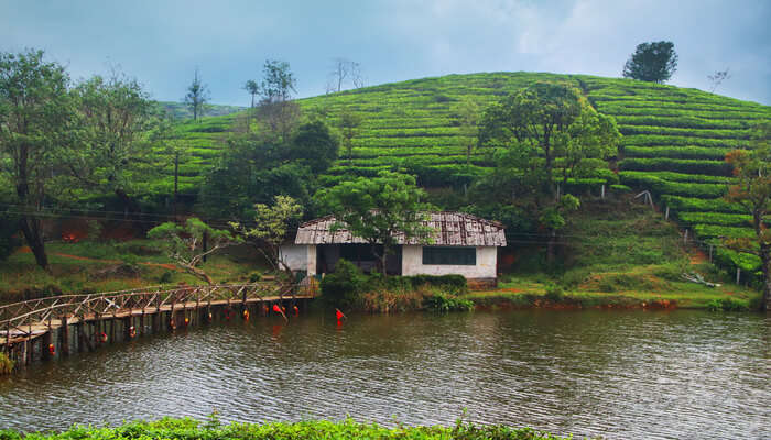 vagamon hill station view